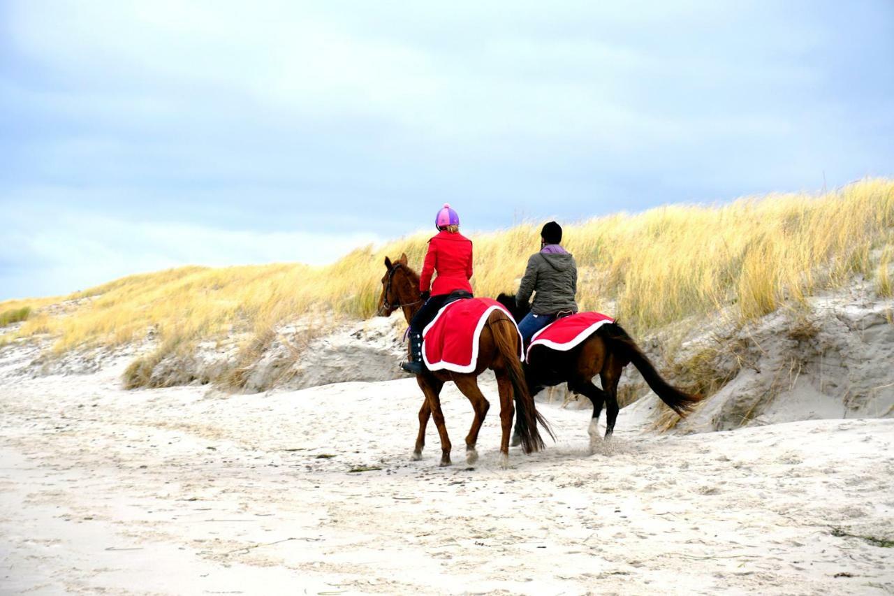 Darssmuschel Dierhagen-strand - Haus 2 *